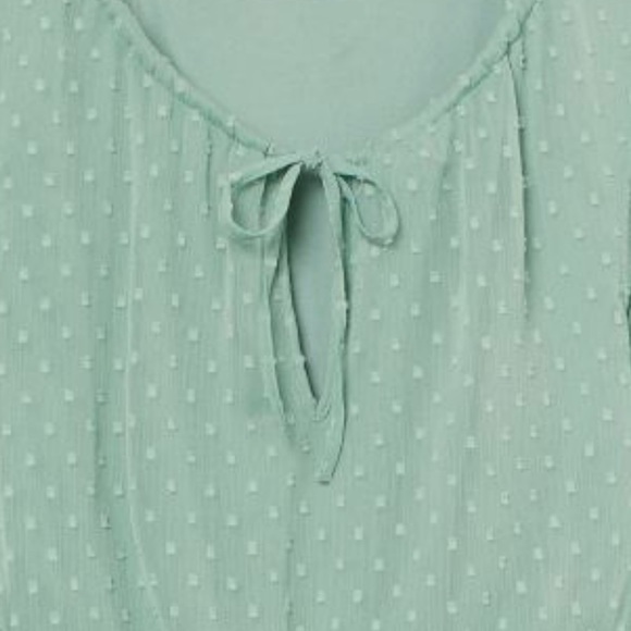 DIVIDED H&M, Plumeti Chiffon Dress, in Light Green, Size L - Picture 3 of 11